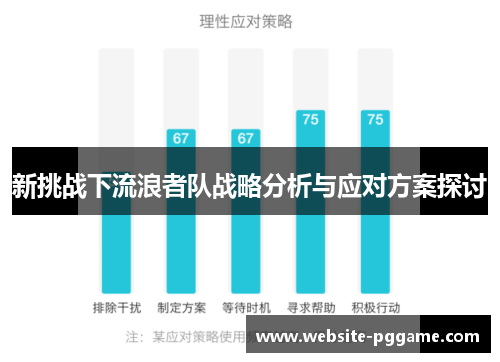新挑战下流浪者队战略分析与应对方案探讨