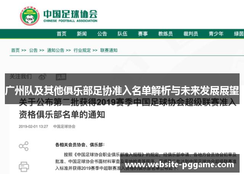 广州队及其他俱乐部足协准入名单解析与未来发展展望